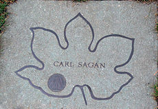 230px-Carl-sagan-brooklyn